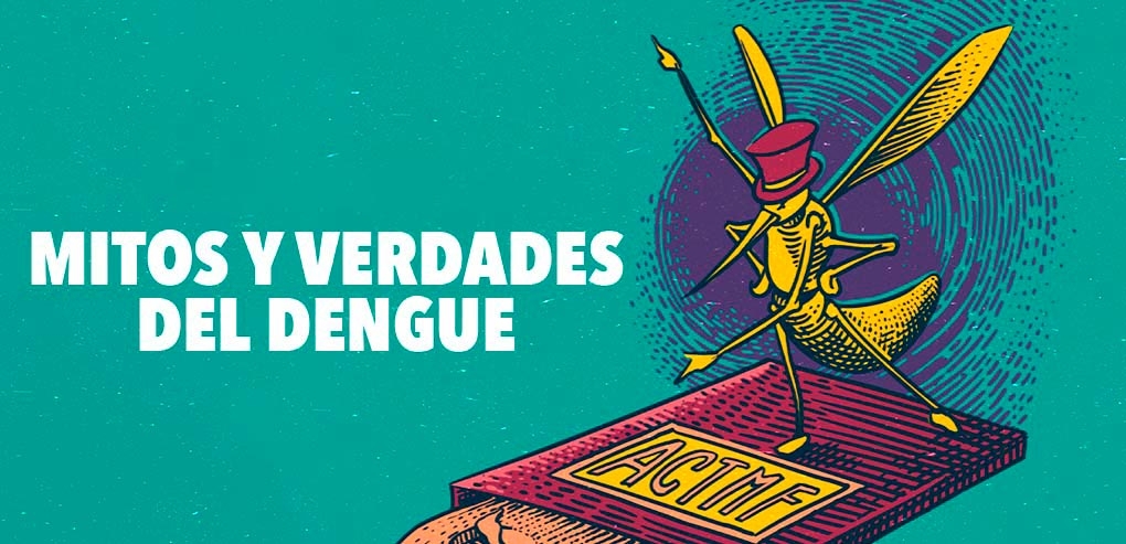 Mitos y verdades sobre el dengue