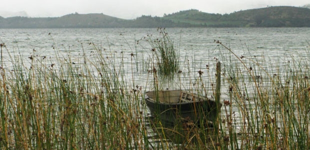 El mar interior