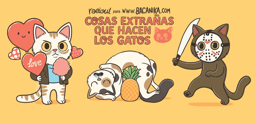 Cosas extrañas que hacen los gatos