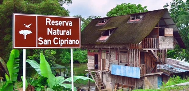 UN PEDACITO DE PARAÍSO EN MEDIO DE LA SELVA