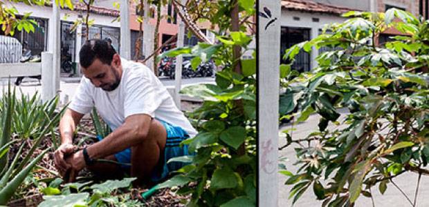 Huertas públicas en las comunas de Medellín