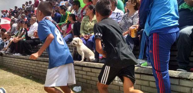 Fútbol, chunchullo y merengón