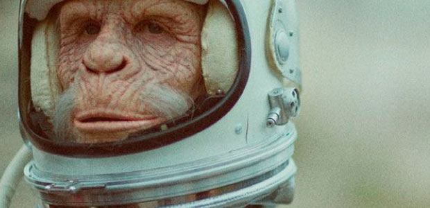 Space Monkey